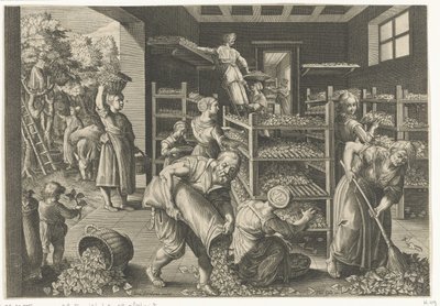 采集桑叶和喂养蚕
欧洲蚕的引进和丝绸生产（系列标题）
Vermis Sericus（实物上的系列标题） 作者 卡雷尔·范·马勒里（Karel van Mallery）