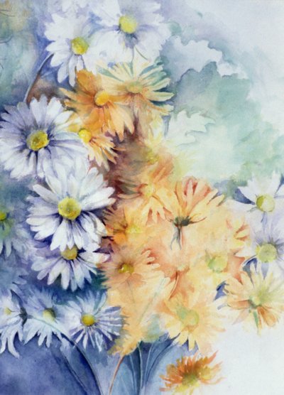 菊花，白色和杏色 作者 卡伦·阿米蒂奇（Karen Armitage）