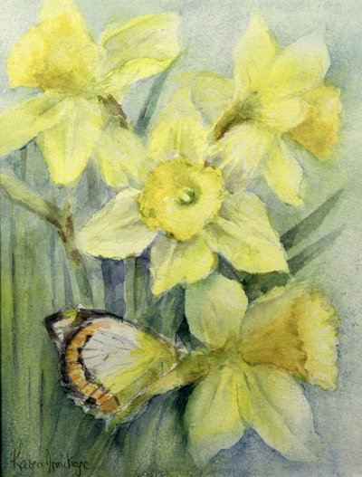 在黄水仙的Delias Mysis（英国国旗）蝴蝶 作者 卡伦·阿米蒂奇（Karen Armitage）