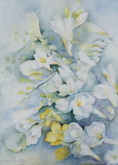 Freesia Eldus，巨人白 作者 卡伦·阿米蒂奇（Karen Armitage）