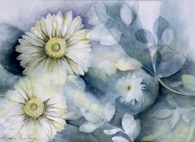 非洲菊詹姆森二世 作者 卡伦·阿米蒂奇（Karen Armitage）