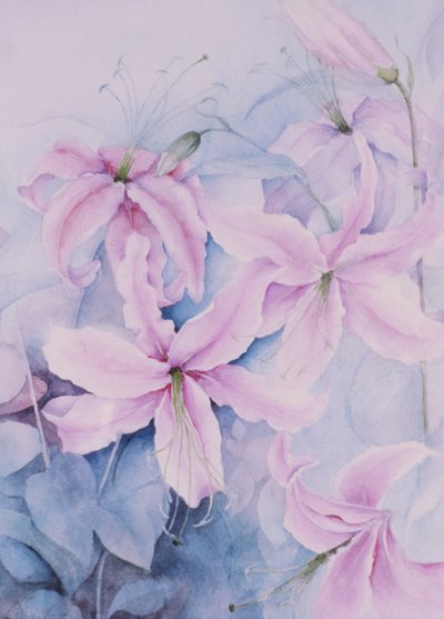 百合，粉，镀金 作者 卡伦·阿米蒂奇（Karen Armitage）