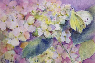 苍白的云豹黄色蝴蝶，绣球花的Colias Hyale 作者 卡伦·阿米蒂奇（Karen Armitage）