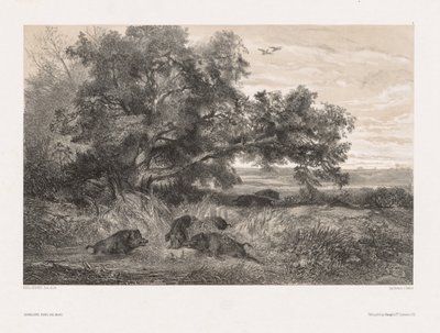 大自然之后的动物和风景：池塘里的野猪，c。 1850年。 作者 卡尔·博德默