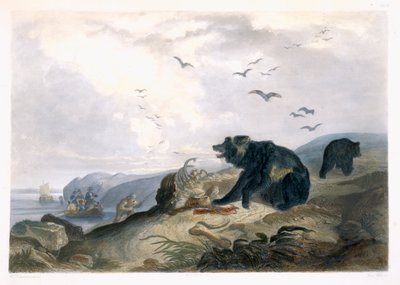 从“北美内陆旅行”第2卷第36页看到灰熊的狩猎，由Lucas Weber雕刻，1844年（aquatint） 作者 卡尔·博德默