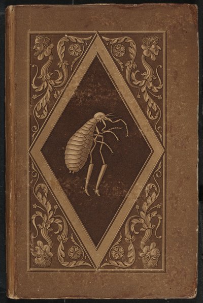 跳蚤大师。Ein Marchen in sieben Abentheuern zweier Freunden（《跳蚤大师：两个朋友七次历险的童话故事》）。 作者 卡尔·弗里德里希·蒂勒、恩斯特·西奥多·阿玛迪斯·霍夫曼
