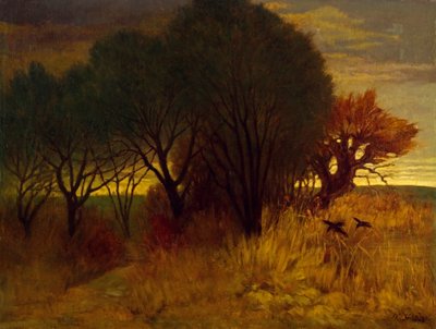 Moorlandschaft 作者 卡尔·海德尔