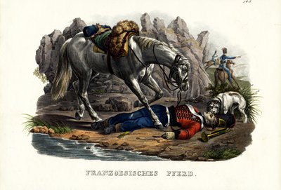 法国马，1824年 作者 卡尔·约瑟夫·布罗特曼