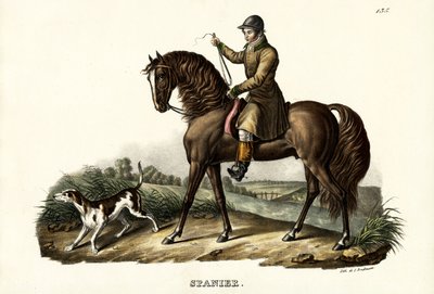 西班牙猎人马，1824年 作者 卡尔·约瑟夫·布罗特曼