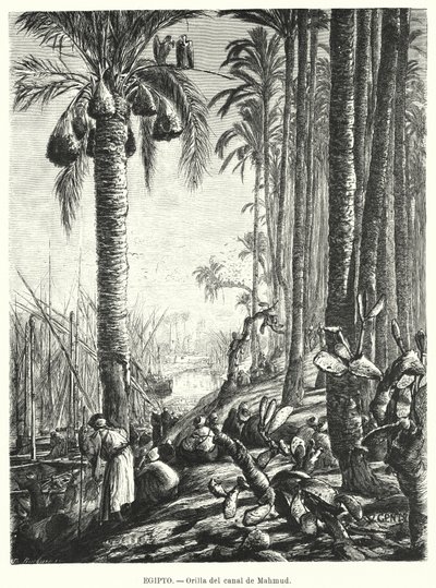 埃及 Mahmoudiyah 运河岸边（石版画） 作者 卡尔·威廉·根茨