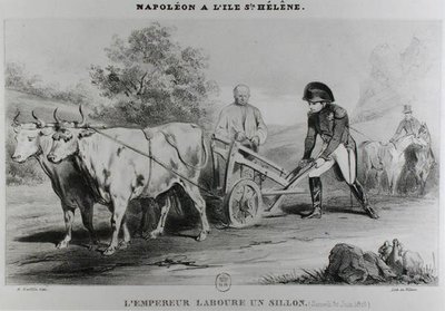 拿破仑（1769-1821）在圣赫勒拿岛上，由Francois le Villain雕刻（1819-22） 作者 洛伊洛特·哈特维格之后的卡尔