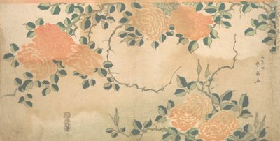 玫瑰花，约1810年。 作者 卡所斋顺仙