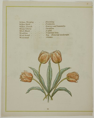 装饰插图，选自《插图花语 作者 凯特·格林威（Kate Greenaway）