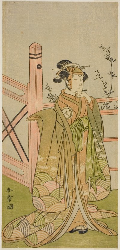 扮演不明角色的演员岩井阪四郎 作者 胜川俊章