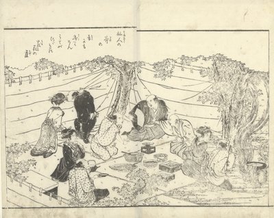 樱花树下的陪伴 作者 胜川顺亭