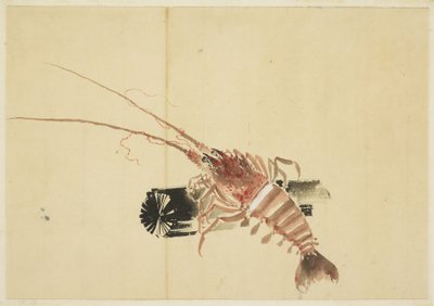 Ebi（大虾） 作者 北斋葛饰（学校）