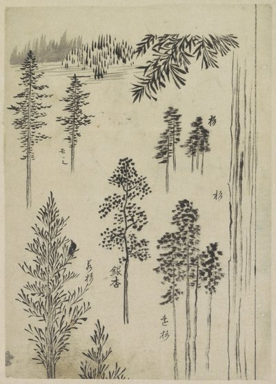 树木景观 作者 葛饰北斋（可能）
