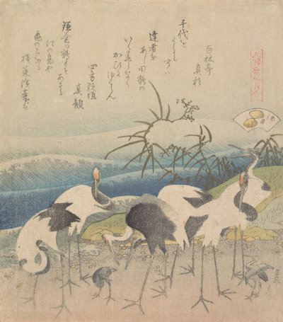 芦花蛤，出自《元禄开元》系列，1821年。 作者 葛饰北斋