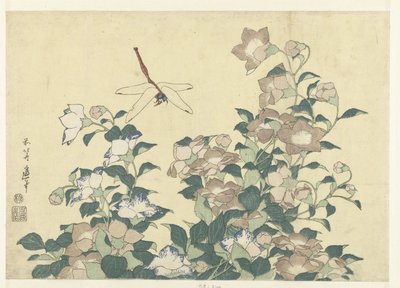 气球铃和蜻蜓 作者 葛饰北斋