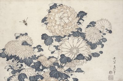 蜜蜂和菊花，系列&39;大花&39;（彩色木版画） 作者 葛饰北斋