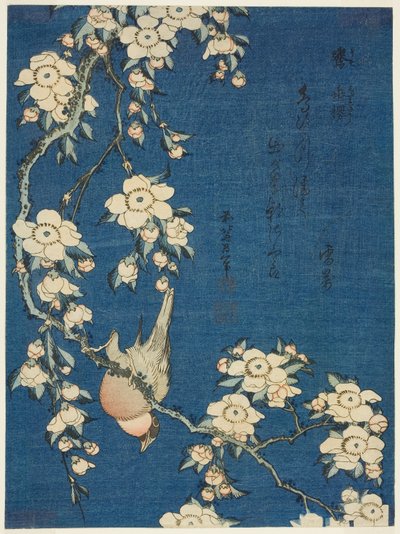 牛雀与垂樱（Uso，shidarezakura），选自无题花鸟系列 作者 葛饰北斋