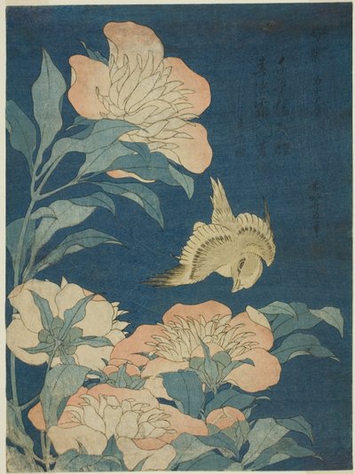 金丝雀与牡丹（Kanaari，shakuyaku），选自无题花鸟系列 作者 葛饰北斋