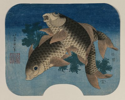 1831年，《水草丛中的鲤鱼游泳》。 作者 葛饰北斋