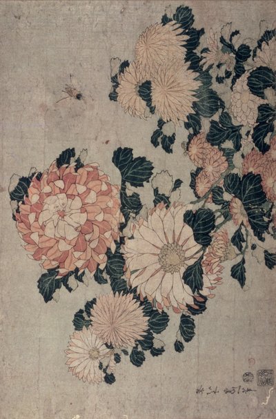 菊花（彩色木刻） 作者 葛饰北斋