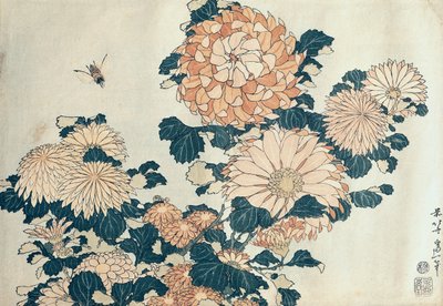 菊花（彩色木版画） 作者 葛饰北斋