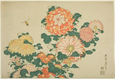菊花和蜜蜂》，选自无标题大花系列 作者 葛饰北斋