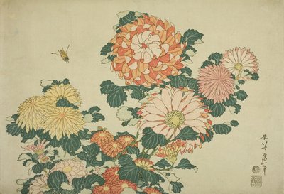 菊花和蜜蜂，出自一系列无题的大花，约1833-34年 作者 葛饰北斋