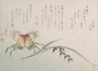 螃蟹和水稻植物，19世纪。 作者 葛饰北斋