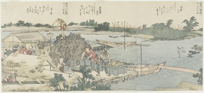 在Shirahige的起重机和松树领域，在Hashiba的Taya，1775-1849 作者 葛饰北斋