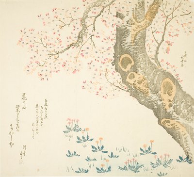 樱桃树下的蒲公英和三叶草 作者 葛饰北斋