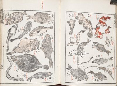 鱼类和海洋生物 作者 葛饰北斋