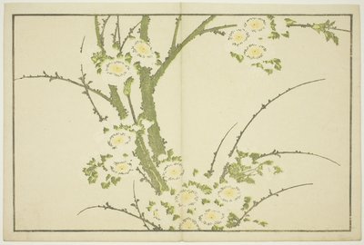 花，选自《北斋写实画集》，约 1814 年（彩色木刻版画（册页 作者 葛饰北斋