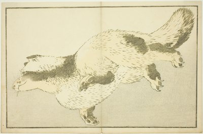 狐狸，选自《北斋写实画集》（北斋写真集） 作者 葛饰北斋