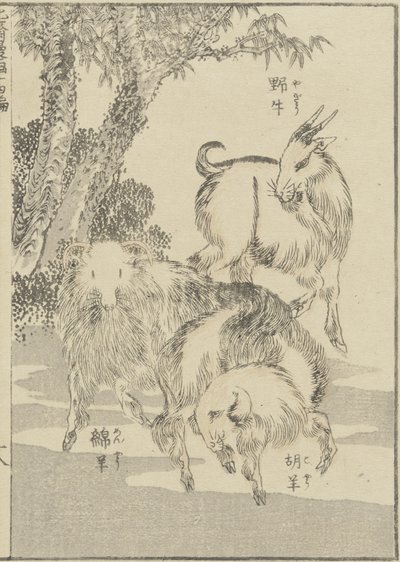 山羊，c。 1840年（木版画） 作者 葛饰北斋