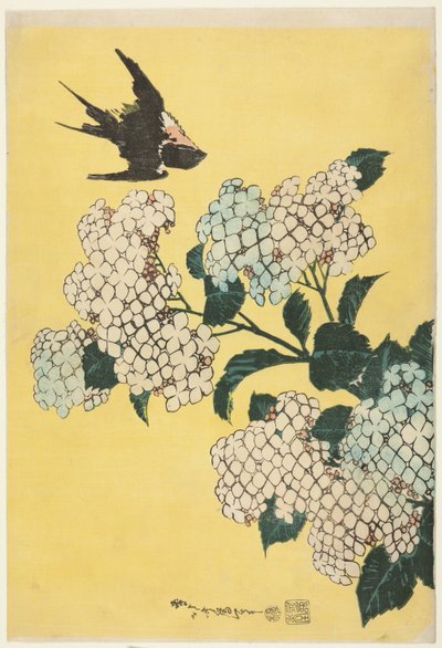 绣球花和燕子》，选自无标题大花系列 作者 葛饰北斋