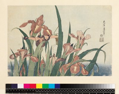 鸢尾花和蚱蜢，酒吧。作者：Nishimura Eijudo，c.1832，（yoko-e-横向格式，彩色木版画） 作者 葛饰北斋