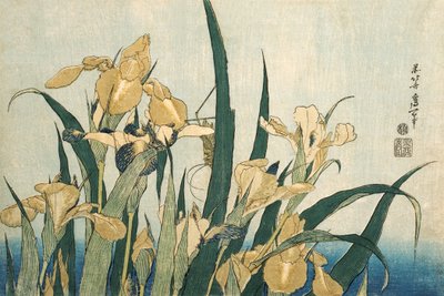 耻辱与蚱蜢，pub.1830 作者 葛饰北斋