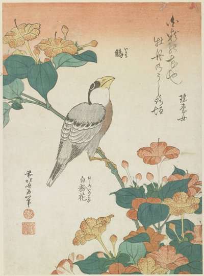 日本的Grosbeak和Four-o&39;cloks，c。 1833 作者 葛饰北斋