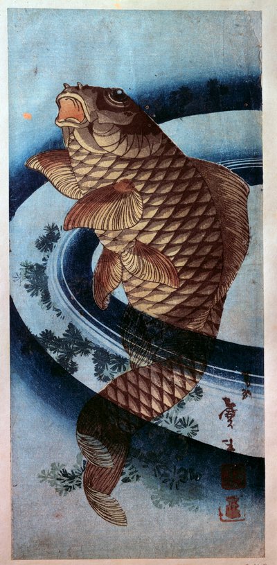 日本艺术：鲤鱼。 葛饰北斋 (1760-1849) 印刷 19 世纪巴黎，吉美博物馆 作者 葛饰北斋