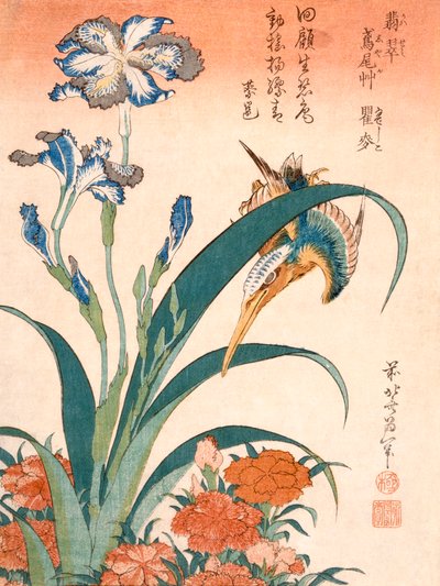 翠鸟、鸢尾花和粉红色（彩色木版画） 作者 葛饰北斋