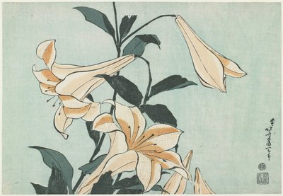 百合花，c。 1832 作者 葛饰北斋