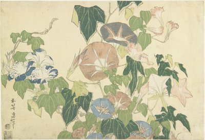 Morning Glories和Tree Frog，来自无名系列，名为Large Flowers，c.1833-34（彩色木版画） 作者 葛饰北斋