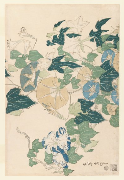 鲜花和花蕾的牵牛花，1830年（彩色木版画） 作者 葛饰北斋