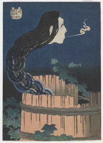 一百个鬼故事：江户时代的Sarayashiki，1831-32（彩色木版画） 作者 葛饰北斋