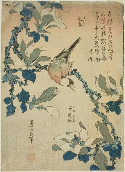 稻田鸟和木兰花（Buncho, kobushi no hana），选自无标题花鸟系列 作者 葛饰北斋