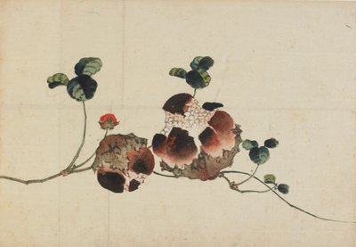 石榴，18世纪末至19世纪初。 作者 葛饰北斋